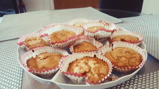 14233610_10208282179427096_1165572898_o