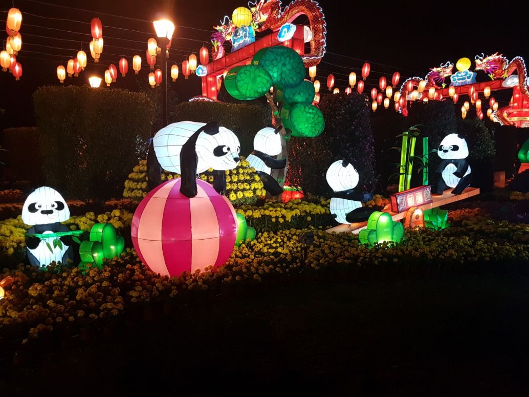 Panda Lanterns.jpeg